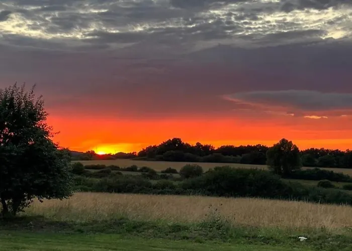 Hébergement de vacances Tiny Luxe&spa Privatif - Les Figuiers Barjou